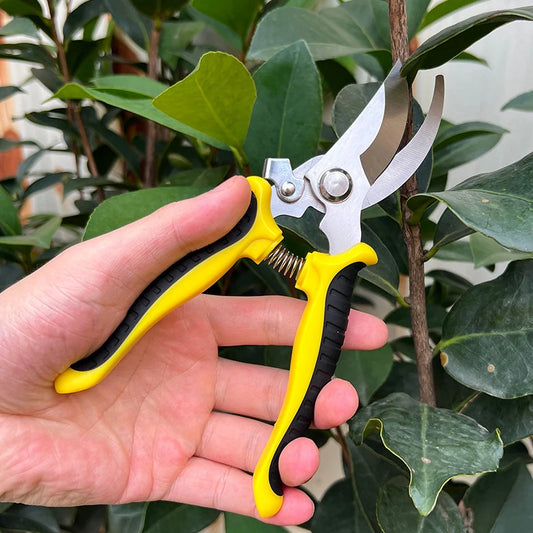 Garden Scissors for Bonsai Professional Pruning Trees Orchard Grape Branches Gadgets Agricultural Farm Hand Tools Floral Pruner
