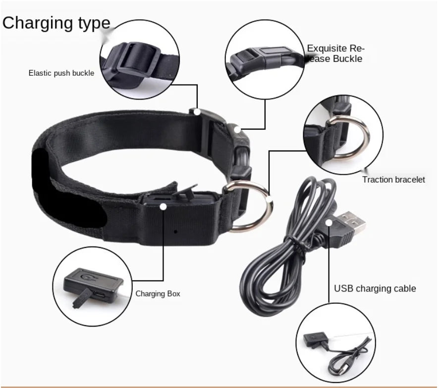 LumiPaw™ Luxe LED Pet Collar – USB Rechargeable, Adjustable &amp; Radiantly Safe