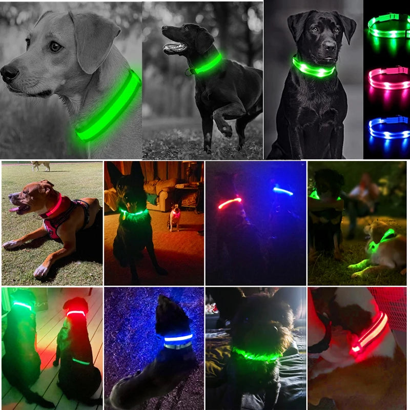 LumiPaw™ Luxe LED Pet Collar – USB Rechargeable, Adjustable &amp; Radiantly Safe