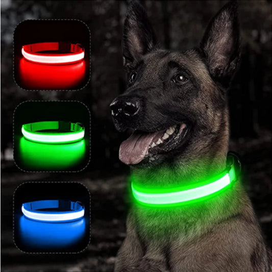 LumiPaw™ Luxe LED Pet Collar – USB Rechargeable, Adjustable &amp; Radiantly Safe