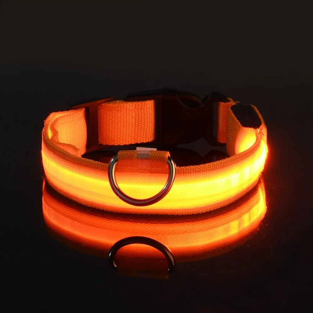 LumiStride™ Illuminated Pet Leash &amp; Collar Set – Luxury Nylon LED Night Safety Duo