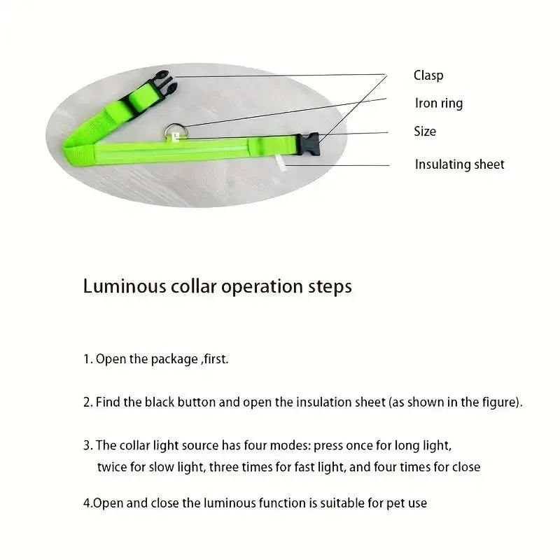 LumiStride™ Illuminated Pet Leash &amp; Collar Set – Luxury Nylon LED Night Safety Duo