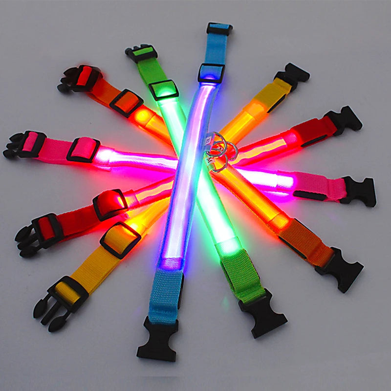 LumiPaw™ Luxe LED Pet Collar – USB Rechargeable, Adjustable &amp; Radiantly Safe