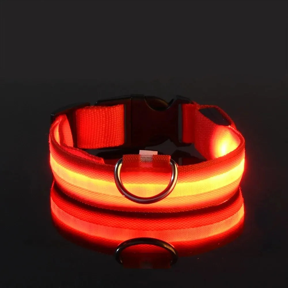 LumiStride™ Illuminated Pet Leash &amp; Collar Set – Luxury Nylon LED Night Safety Duo