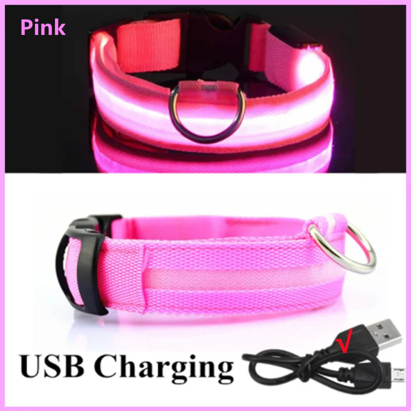 LumiPaw™ Luxe LED Pet Collar – USB Rechargeable, Adjustable &amp; Radiantly Safe