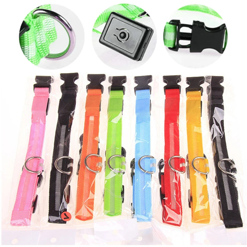 LumiPaw™ Luxe LED Pet Collar – USB Rechargeable, Adjustable &amp; Radiantly Safe