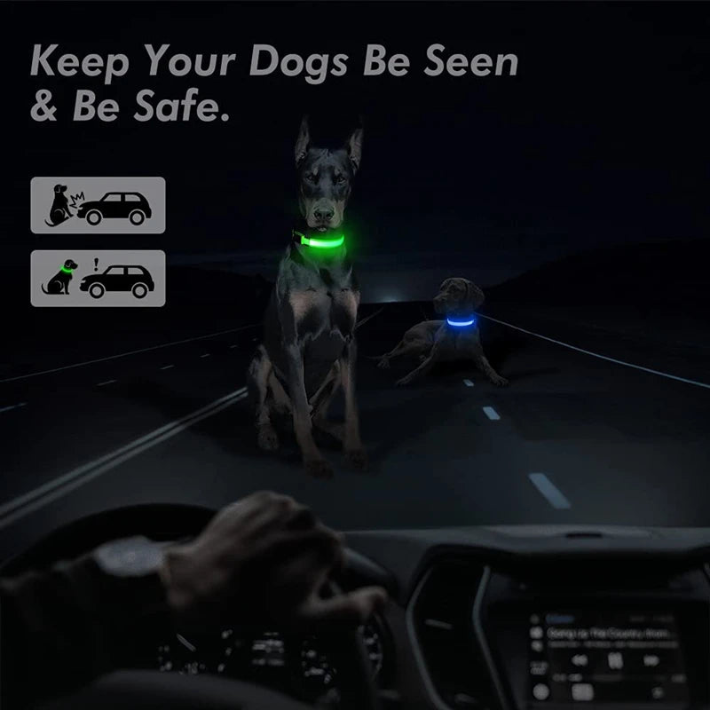 LumiPaw™ Luxe LED Pet Collar – USB Rechargeable, Adjustable &amp; Radiantly Safe
